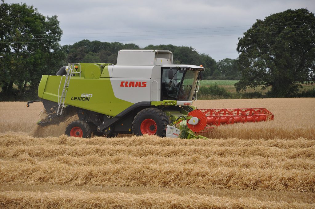 Image source: Shane Casey