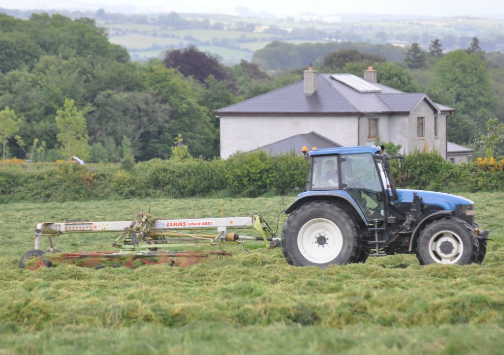 Image source: Shane Casey