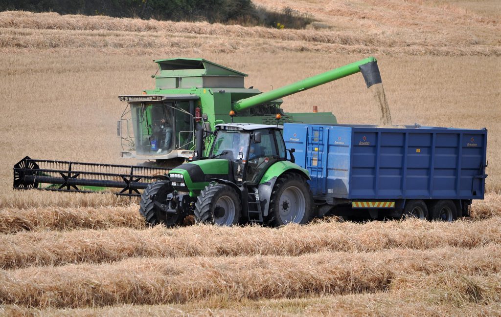 Image source: Shane Casey