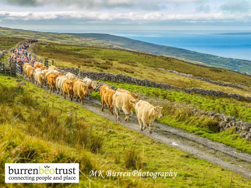 Image source: BurrenBeo Trust