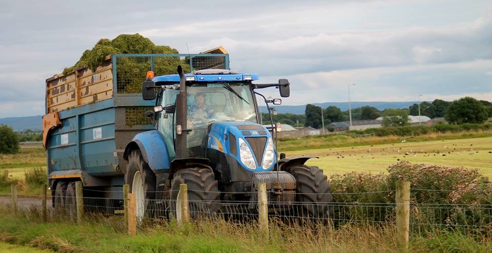 Image source: Galway Agri Videos / Conor Ryan