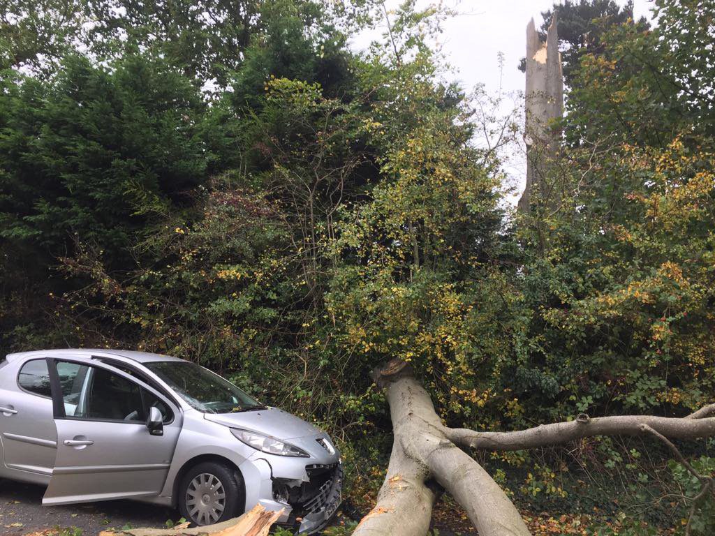 Image source: NI Electricity