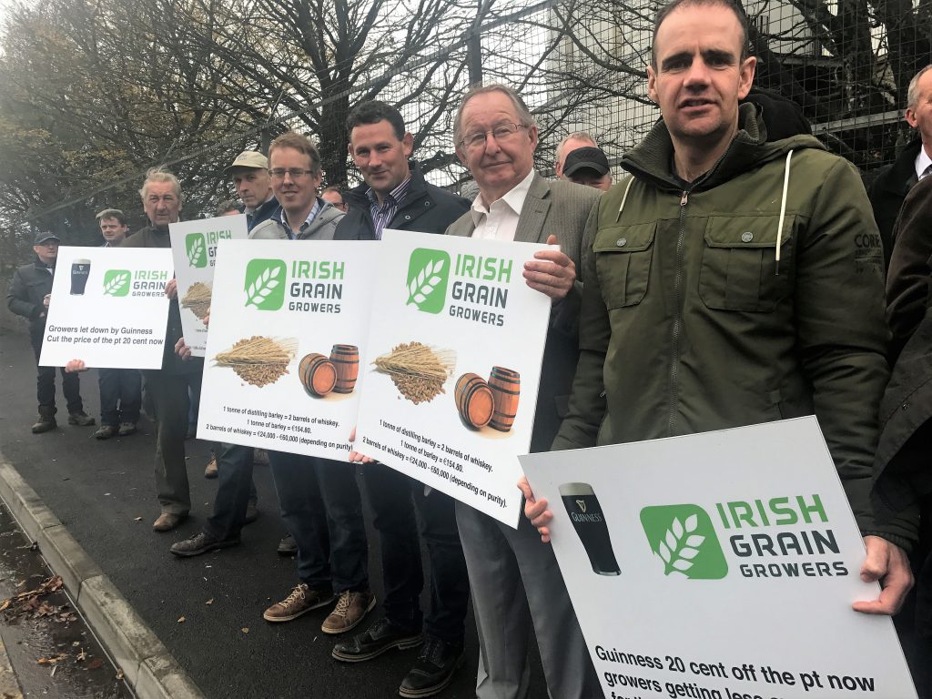 Some of the attendees at the IGGG’s ‘demonstration’ of facts in Athy