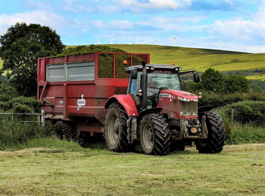 Image source: Lorraine Kirk Photography