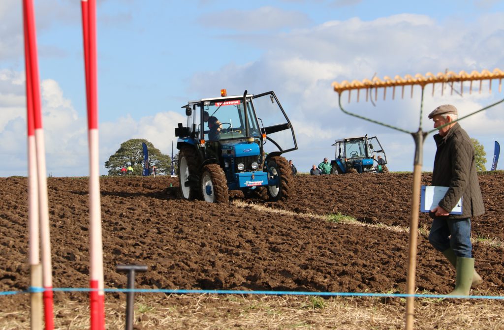 Andrew Gill finishes up his plot