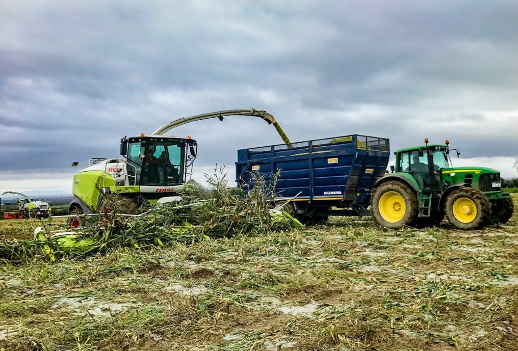 The ‘demo’ Claas Jaguar 970 being put through its paces in awkward conditions, filling one of Quigley Agri-contracting’s trailers
