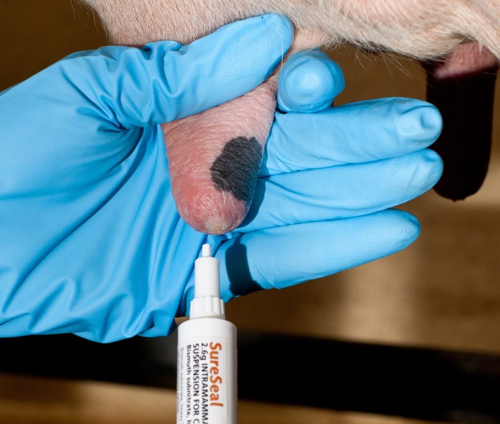 Safety nozzle on SureSeal®