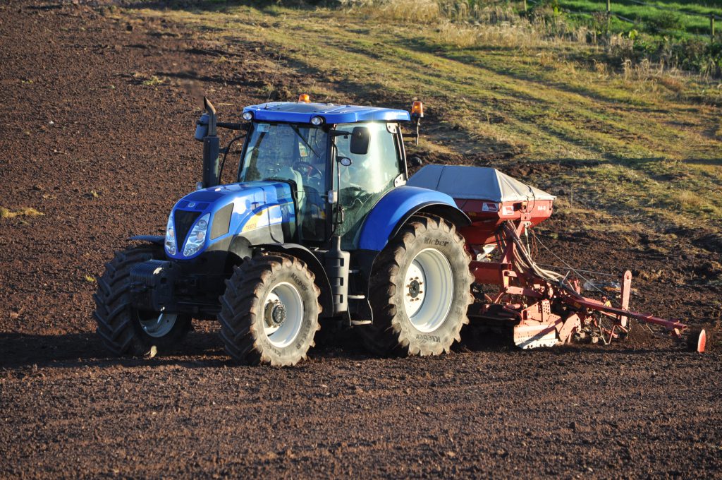 Image source: Shane Casey