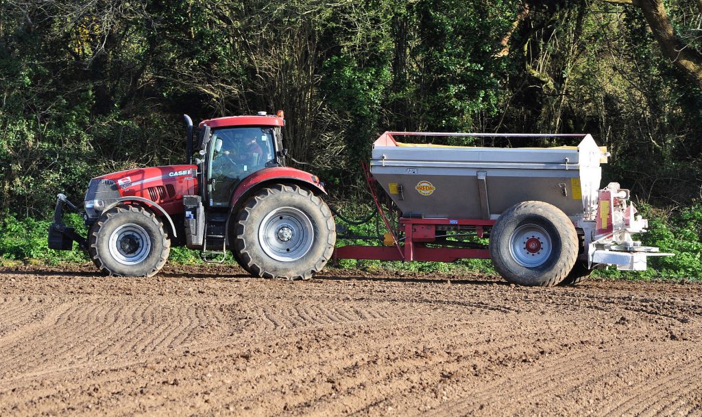 Image source: Shane Casey