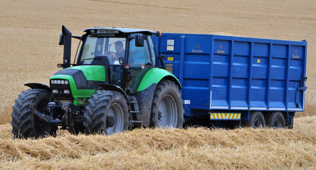 Image source: Shane Casey