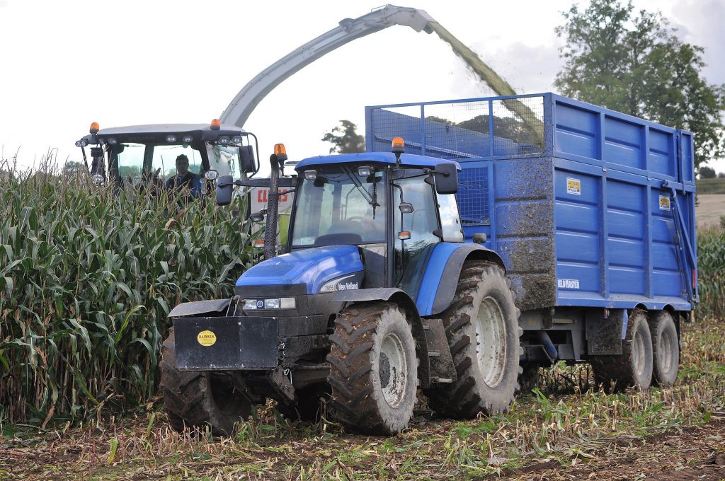 Image source: Shane Casey