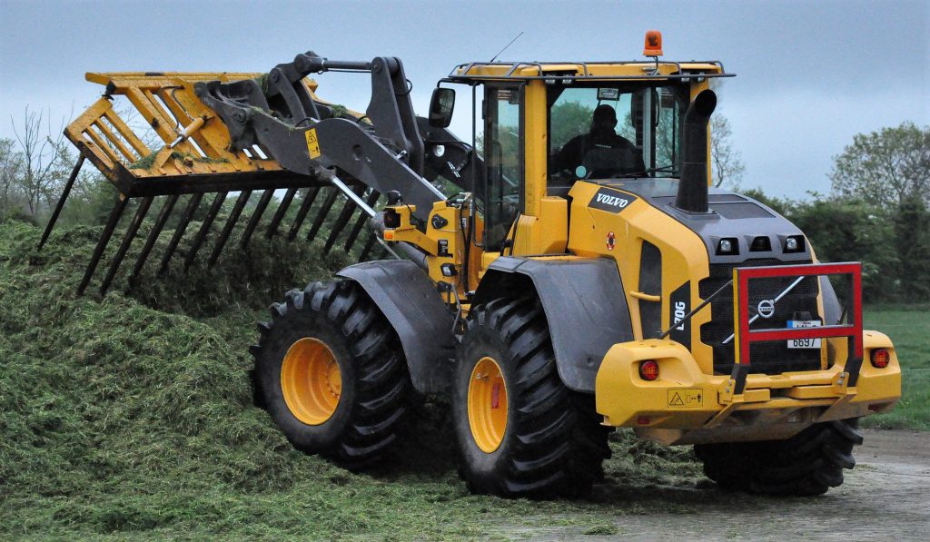 Image source: Shane Casey