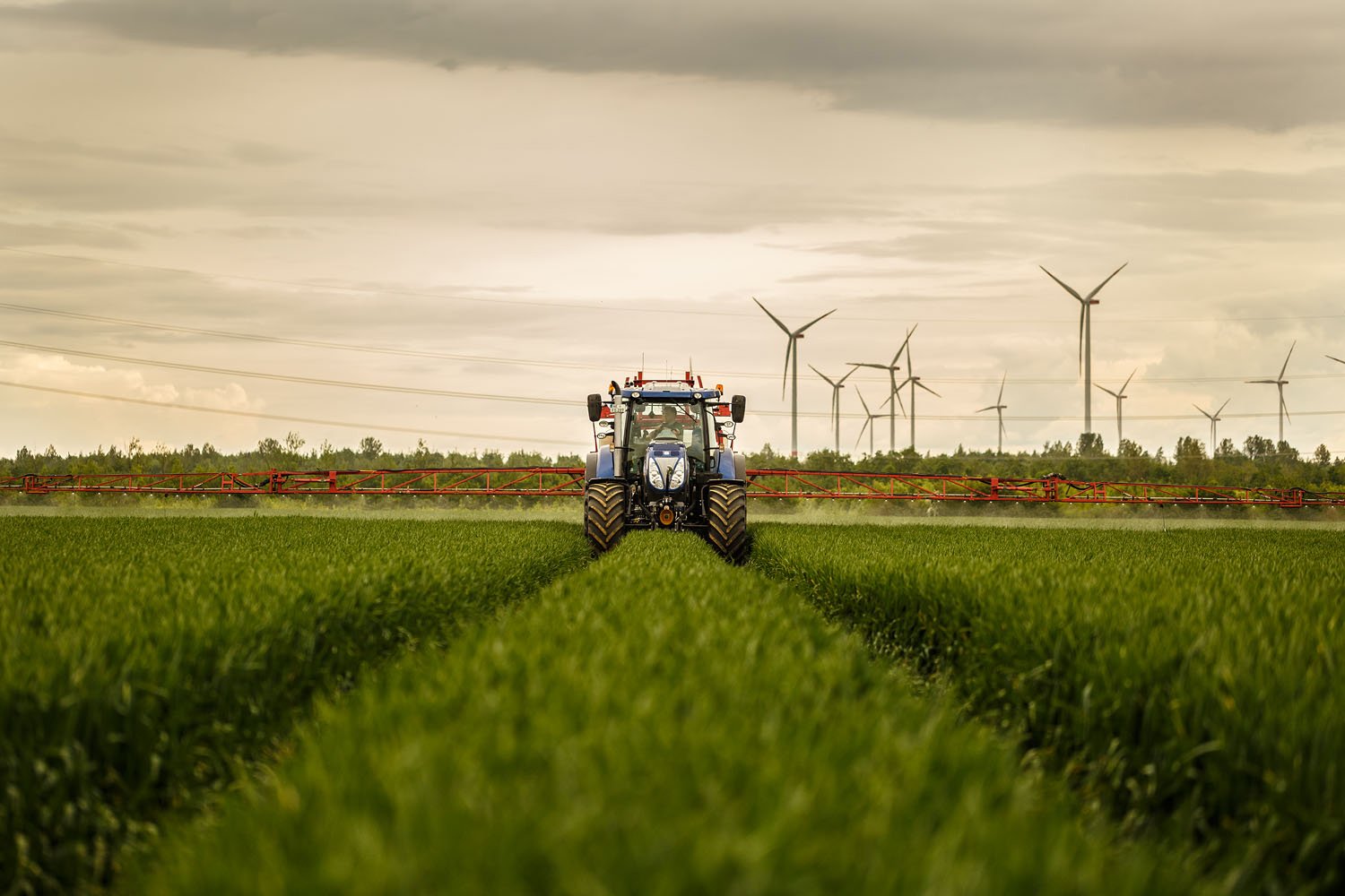 Image source: Bayer Crop Science