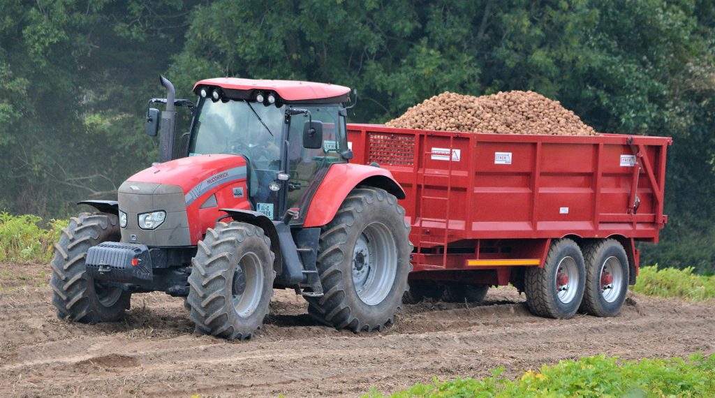 Image source: Shane Casey