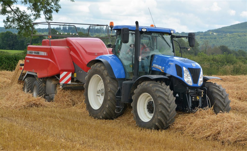 Image source: Shane Casey