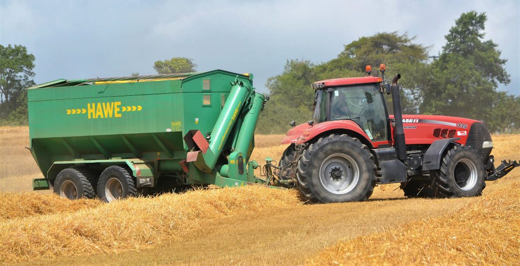 Image source: Shane Casey