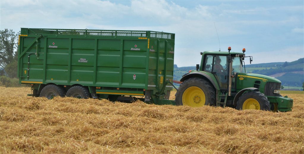 Image source: Shane Casey