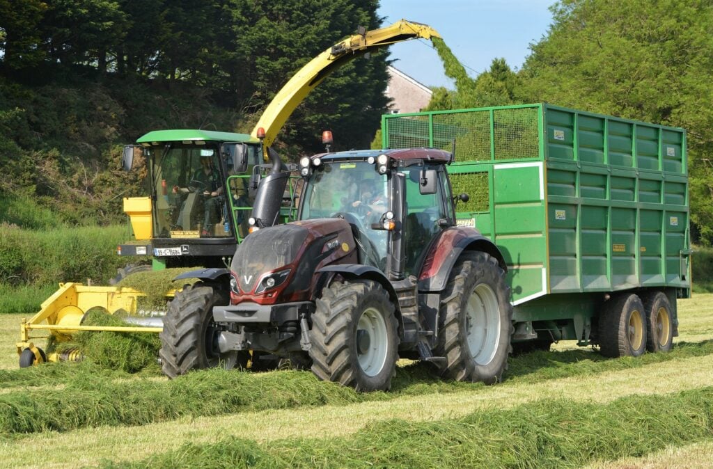 Image source: Shane Casey