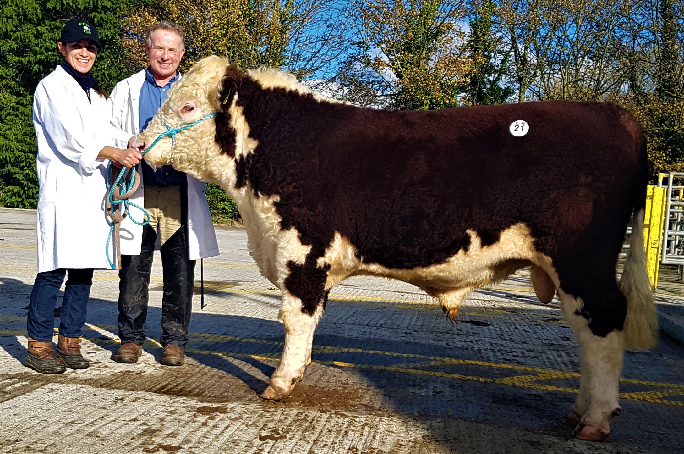 David Larkin’s Cill Cormaic Octavia bull, which sold for €2,850