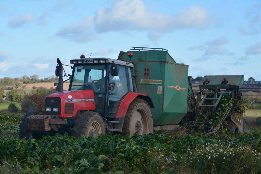 Image source: Shane Casey