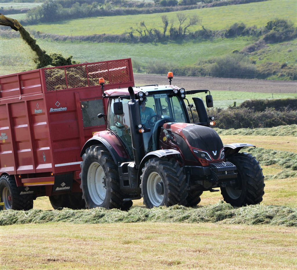 Image source: Shane Casey