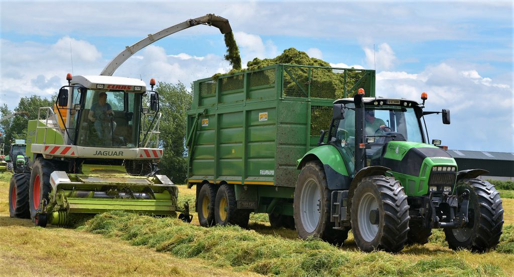 Image source: Shane Casey