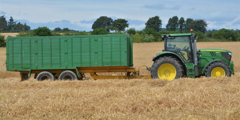 Image source: Shane Casey