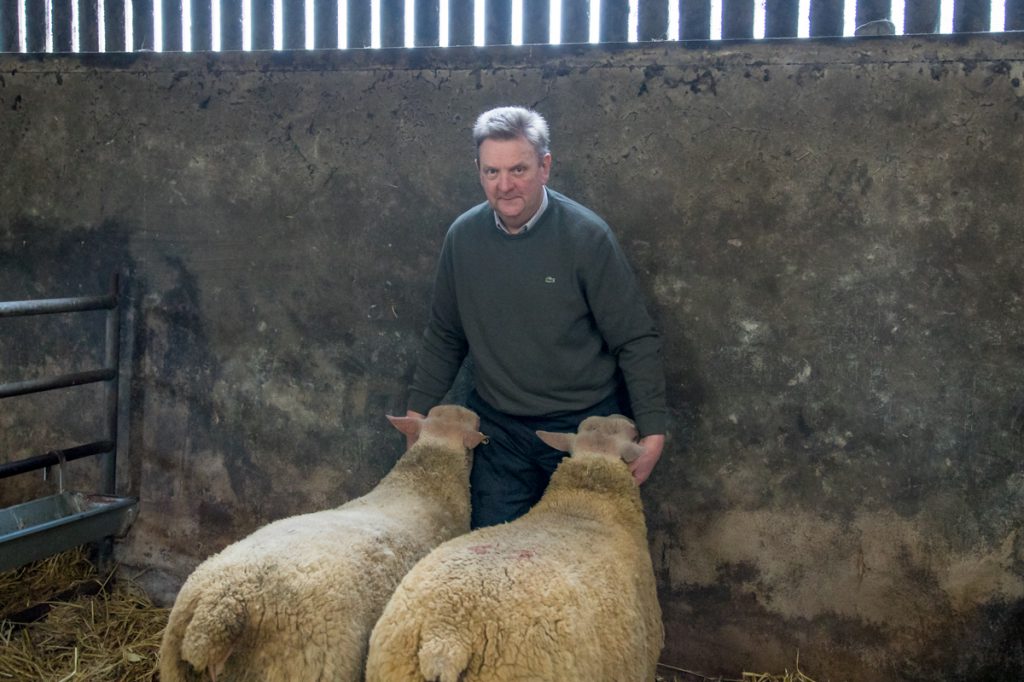 Albert Ferguson pictured with the latest two rams to be sourced from the UK
