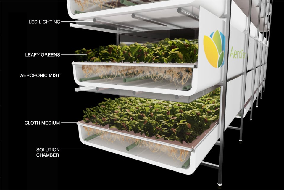 Image source: AeroFarms