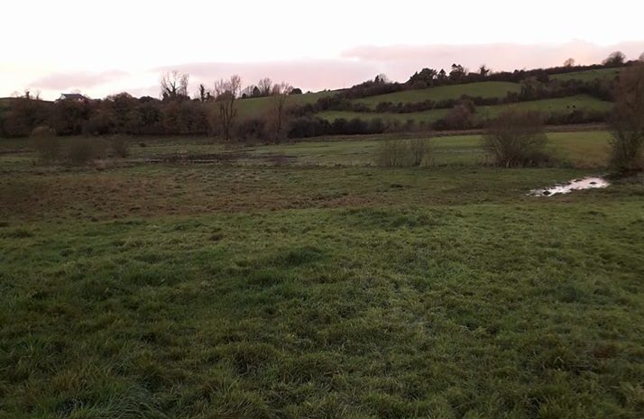 The floodwaters disappeared as quickly as they had risen. Image source: Ken Foster