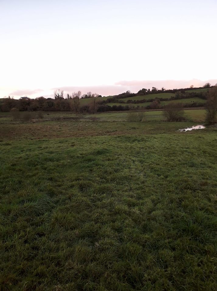 The floodwaters disappeared as quickly as they had risen. Image source: Ken Foster