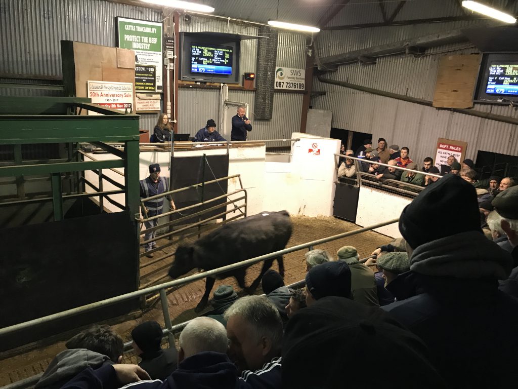 This 4-star, 460kg, March-2016 born, Belgian Blue-cross heifer sold for €1,020