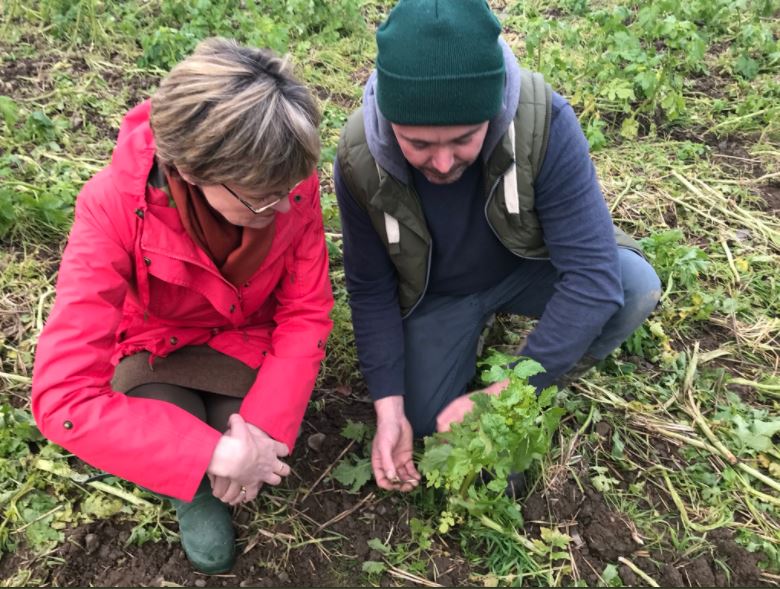 Mairead McGuinness was shown the benefits of cover crops by Garreth Culligan of BASE Ireland