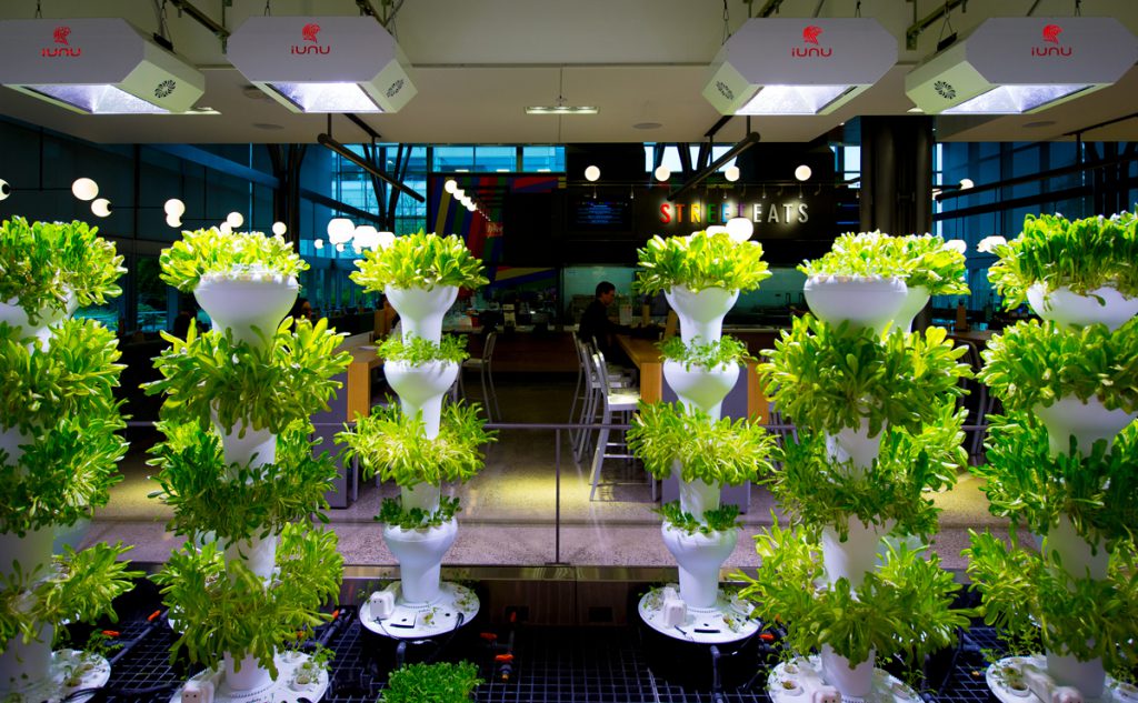 Image Source: Microsoft