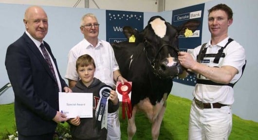 RUAS Winter Fair 2016 Champion Desmond Dundee Embrace