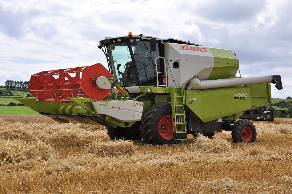 Image source: Shane Casey