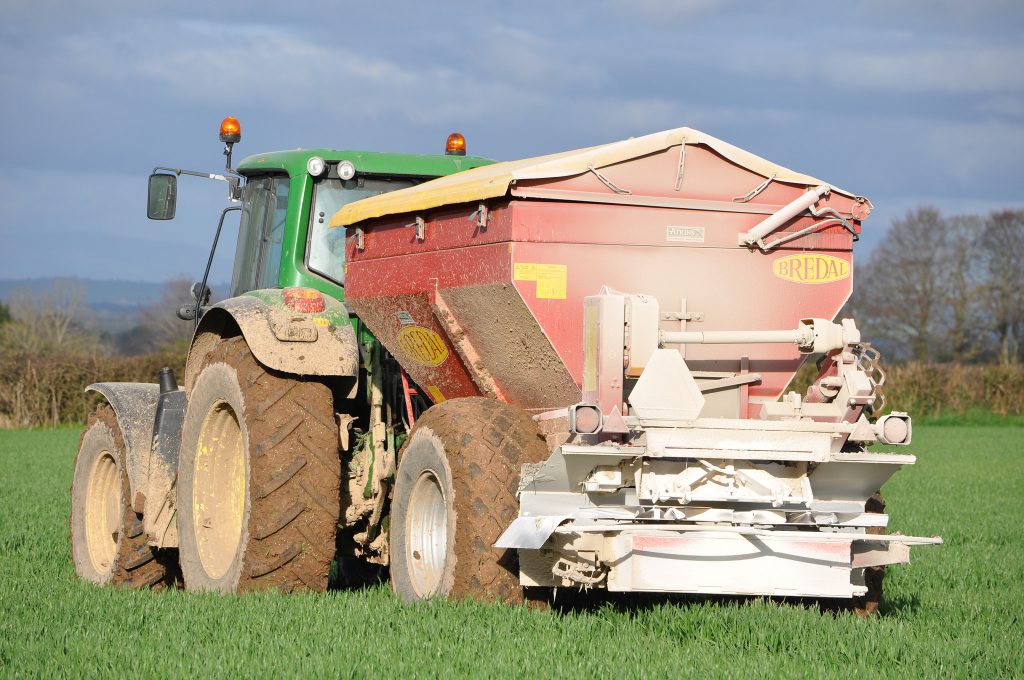 Image source: Shane Casey