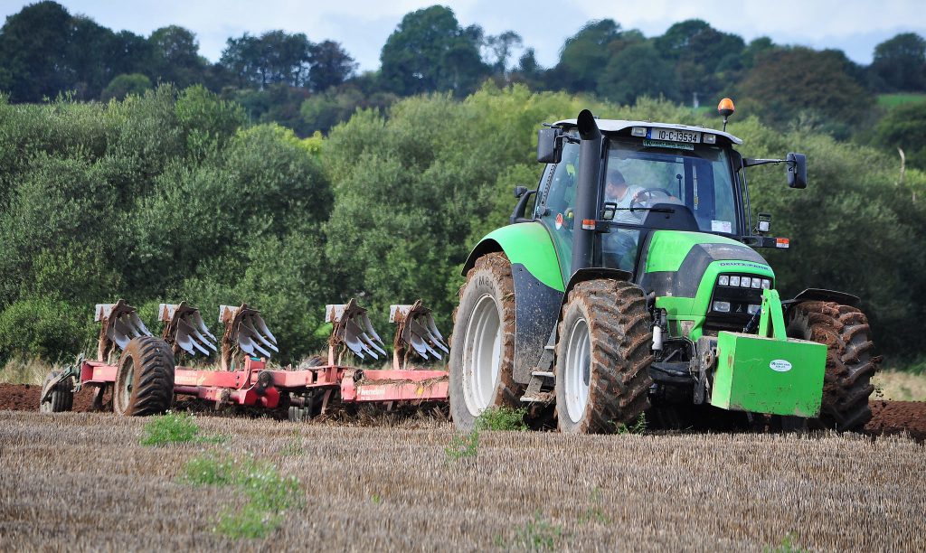 Image source: Shane Casey