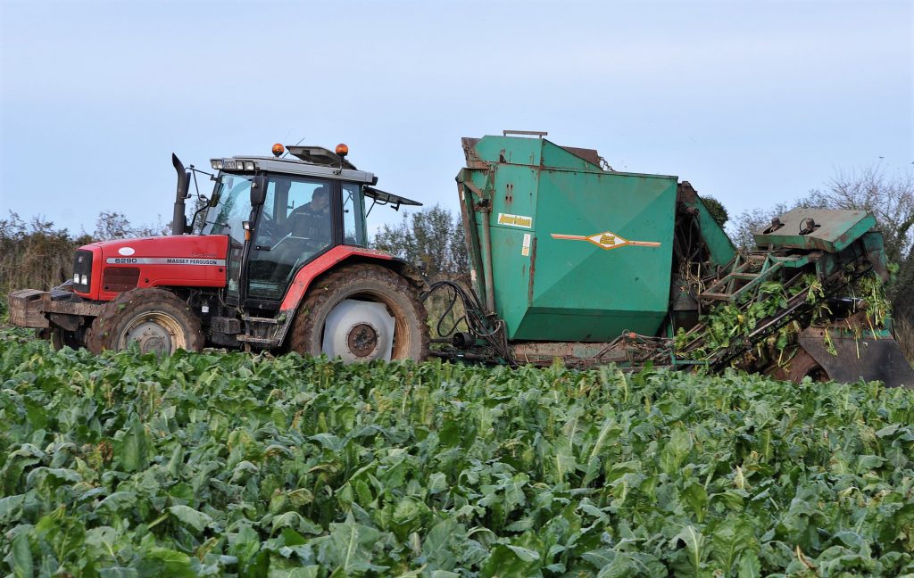 Image source: Shane Casey