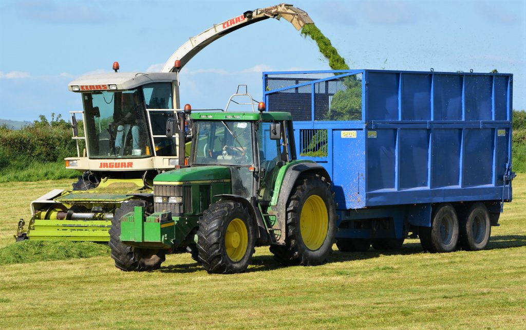 Image source: Shane Casey