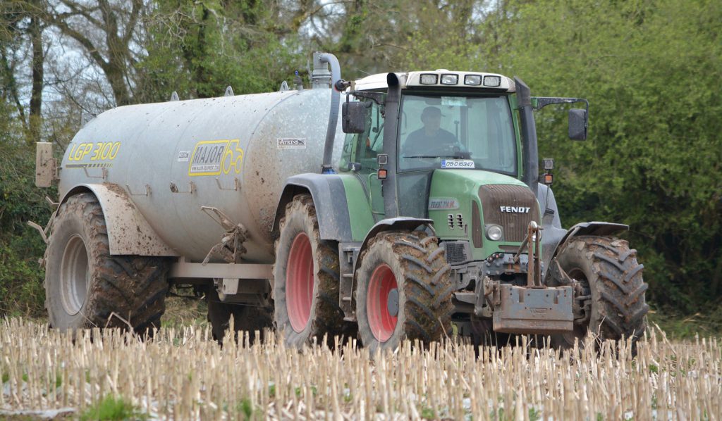 Image source: Shane Casey