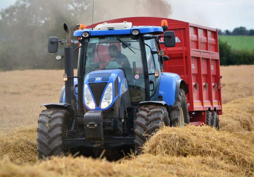 Image source: Shane Casey