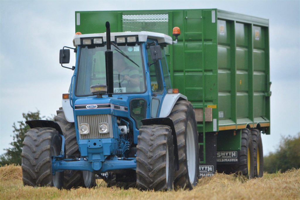 Image source: Shane Casey