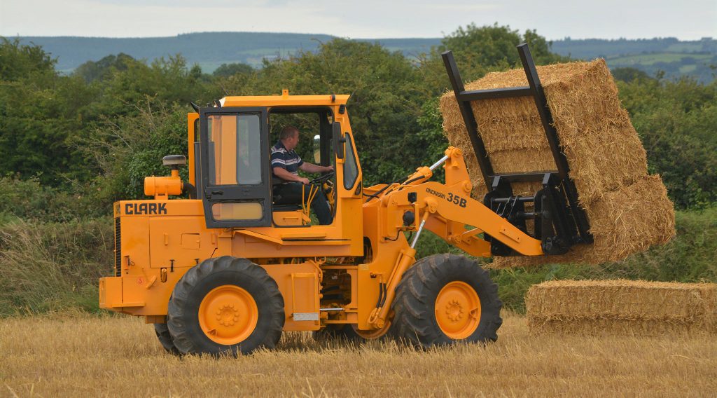 Image source: Shane Casey