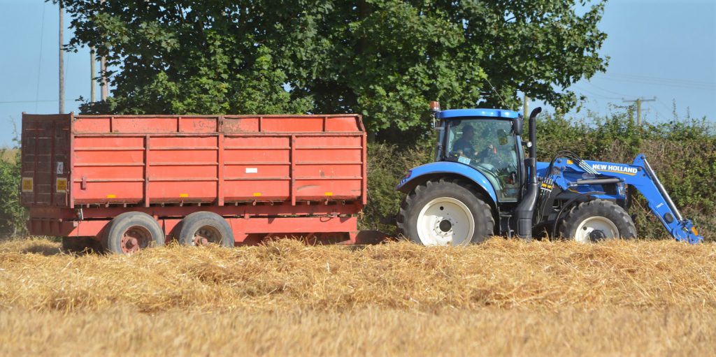 Image source: Shane Casey