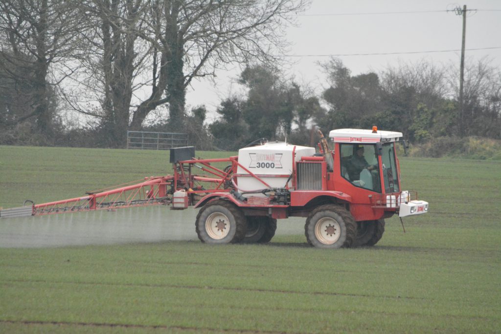 Image source: Shane Casey