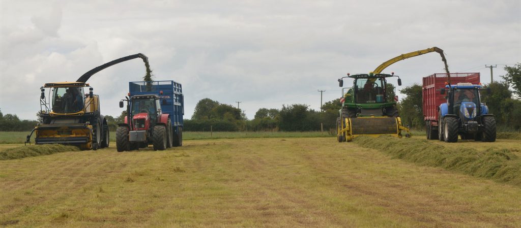 Image source: Shane Casey