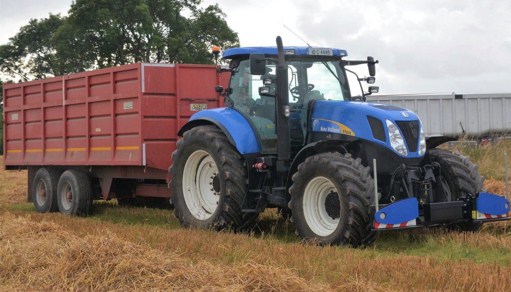 Image source: Shane Casey