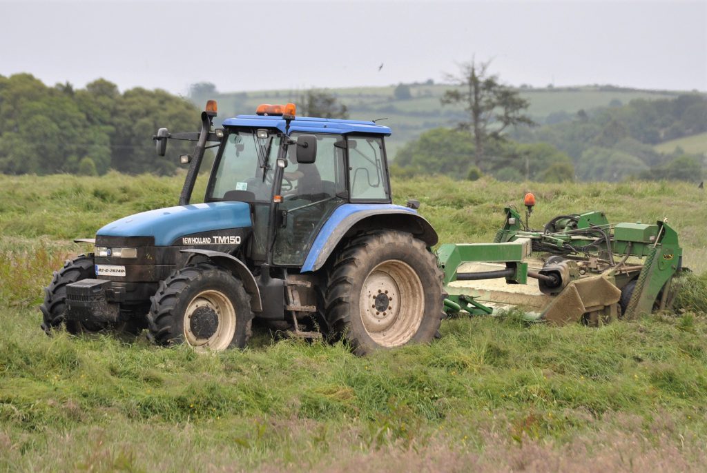 Image source: Shane Casey