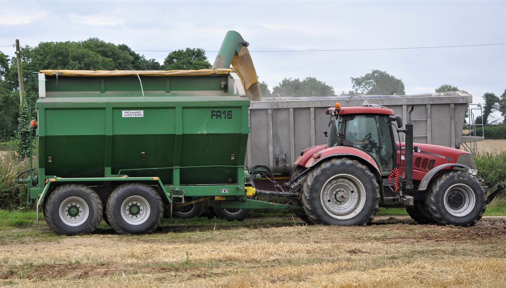 Image source: Shane Casey